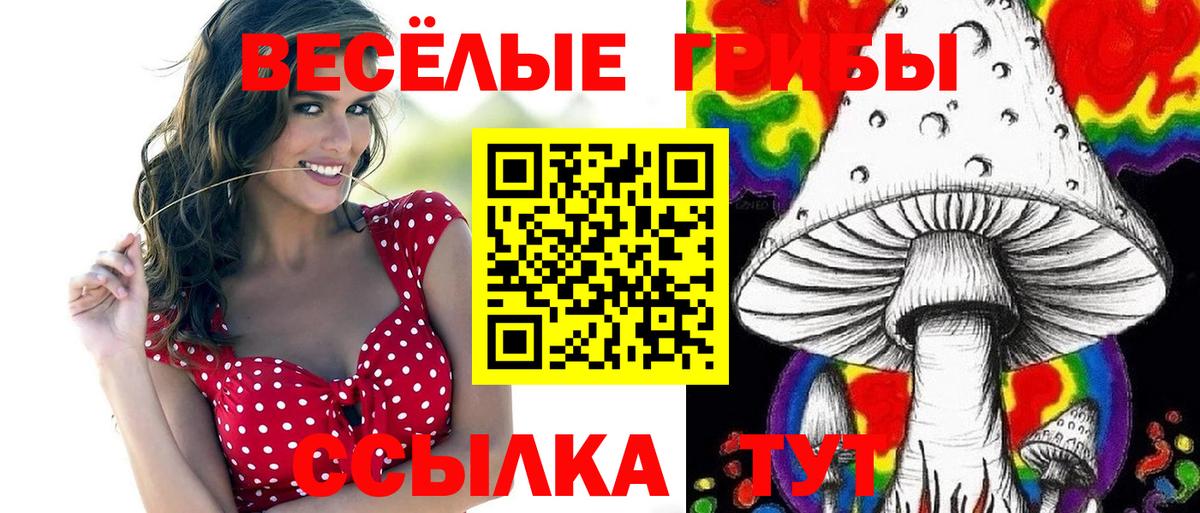 Галлюциногенные грибы ЛСД  Вход с VPN  Ставрополь 